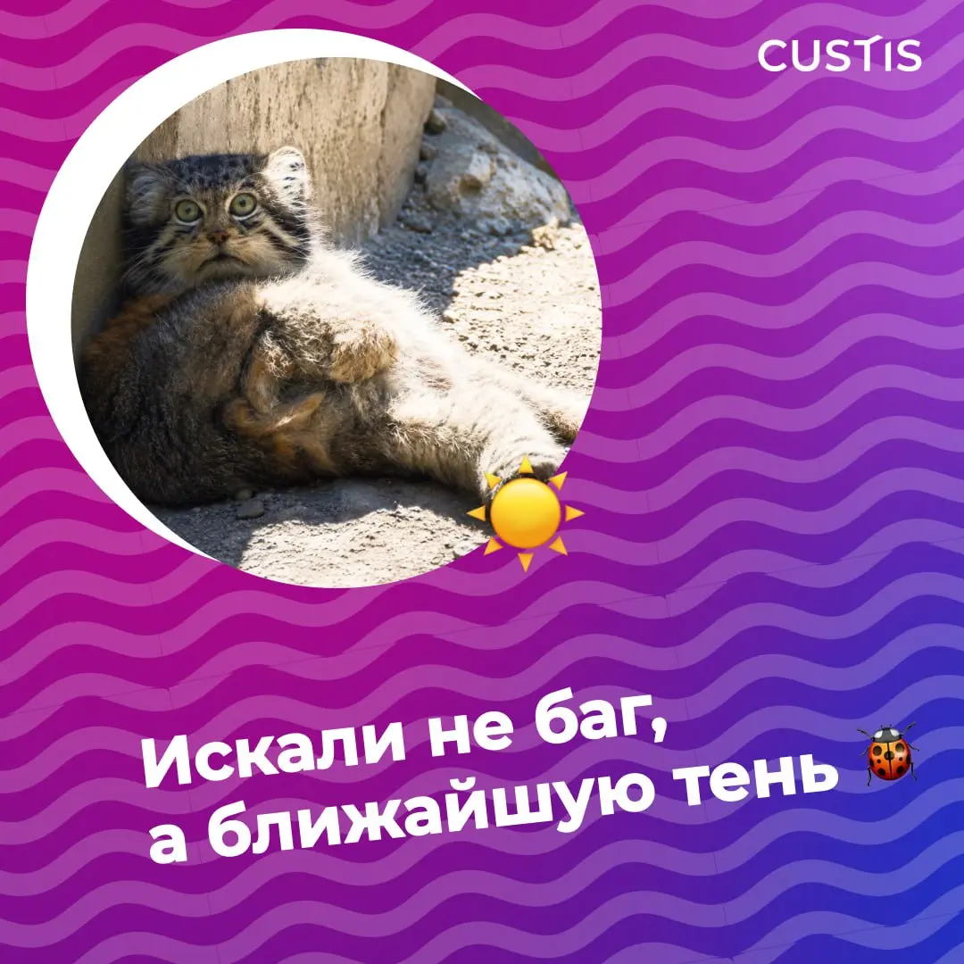 Лето, не спеши! ⚪️
До сентября осталось всего 2 недели — но это не повод расстраиваться, ведь ещё есть время успеть всё, что откладывали «на лето» 😉
Проверяем, сколько пунктов нашего летнего бинго уже... | Сетка — социальная сеть от hh.ru