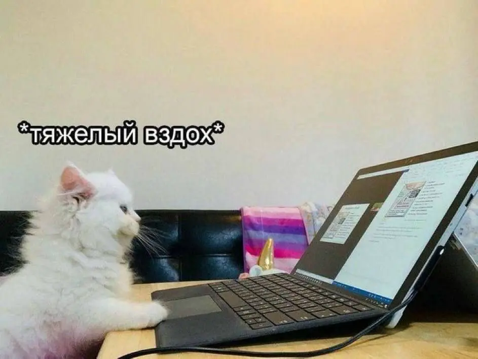 Путь воина | Сетка — социальная сеть от hh.ru