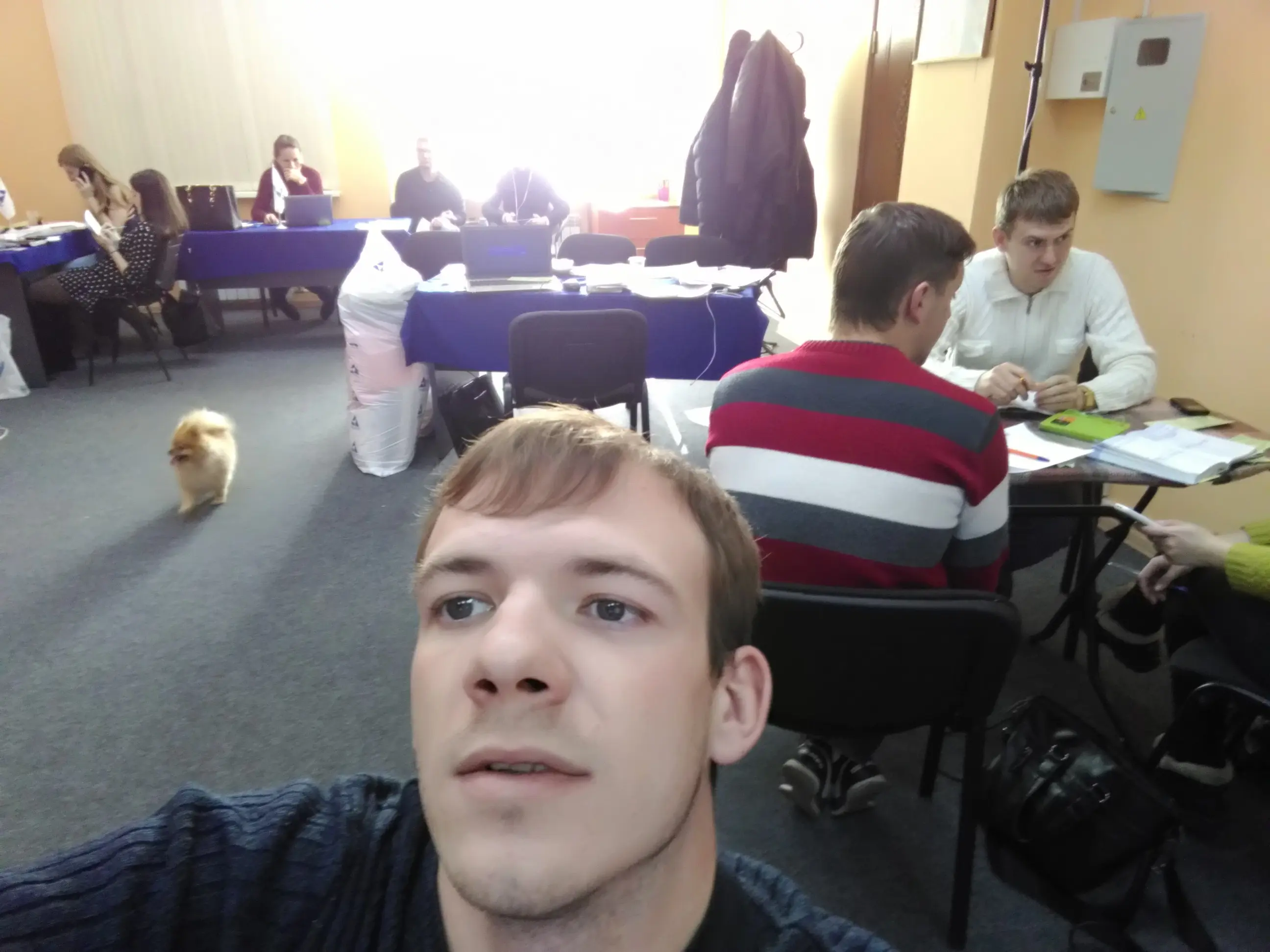 Network member avatar