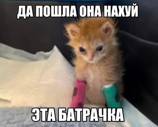 Если работодатель в вакансии пишет “дружный коллектив” и “мы как семья”, приготовься. Либо там реально классно, либо тебя зовут в созависимые отношения, но с дедлайнами🤡 | Сетка — социальная сеть от hh.ru