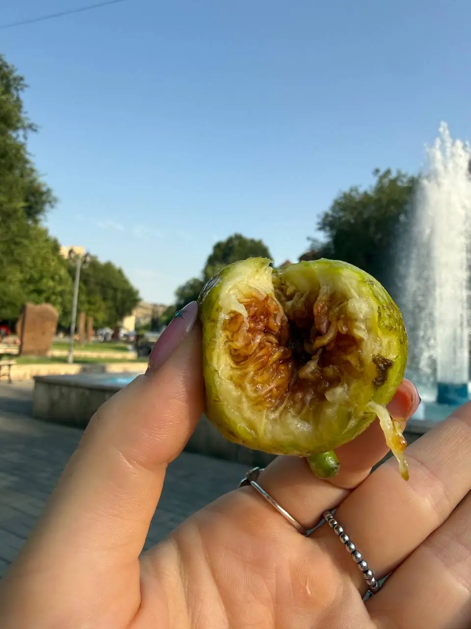 Выходные провели в Ереване 💔 Боже, как я люблю Армению…
Ты только выходишь в зону встреч, как видишь любовь вокруг себя, большие семьи приезжают встречать родных, все с цветами, все обнимаются, целуют... | Сетка — социальная сеть от hh.ru