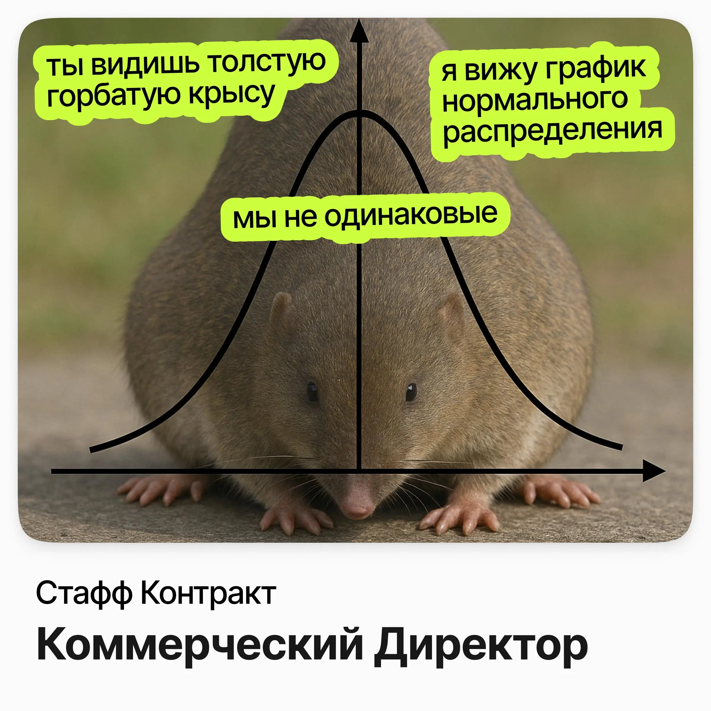 💼 Коммерческий Директор / Стафф Контракт
Стафф Контракт — официальный дистрибьютор платформы ReStaff в России: HRTech-сервис, который берёт на себя оформление, выплаты и документооборот по работе с вн... | Сетка — социальная сеть от hh.ru