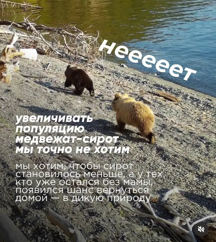 Бренд Grass лажанул с этикеткой, но классно извинился за это 👧
Ситуация, которая может произойти с каждым, но не каждый может выйти из нее в плюсе | Сетка — социальная сеть от hh.ru