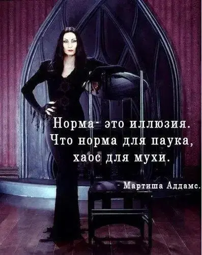 О хаосе, ИИ и новых правилах | Сетка — социальная сеть от hh.ru
