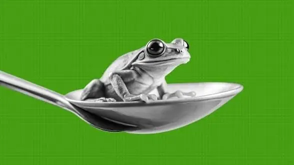 А ты ешь лягушку на завтрак!?
Эйзенхауэр помог нам разобраться, что важно. А теперь про то, с чего начать утро | Сетка — социальная сеть от hh.ru