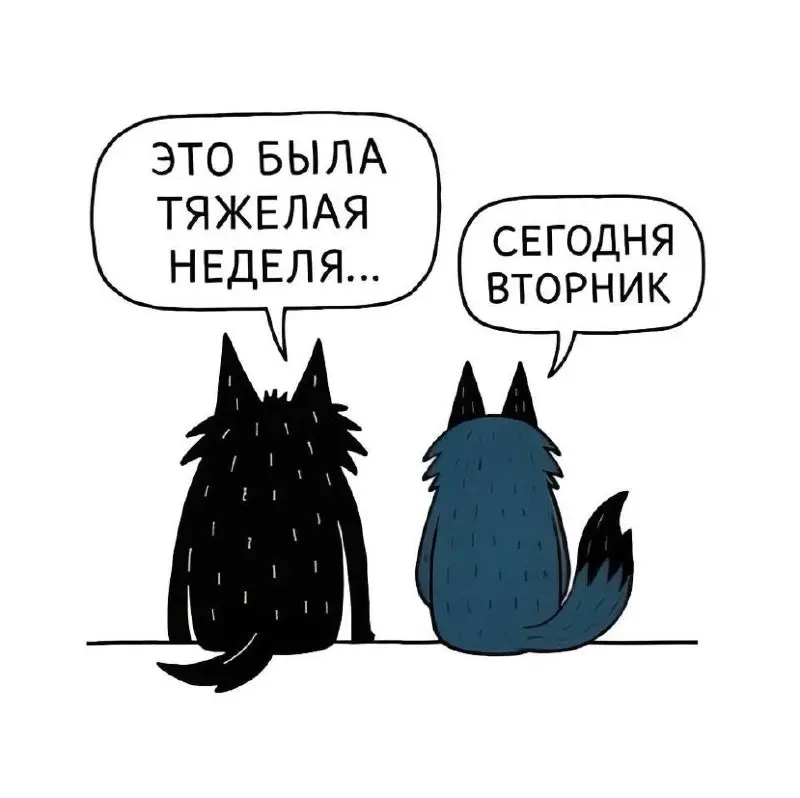 Жиза?) | Сетка — социальная сеть от hh.ru