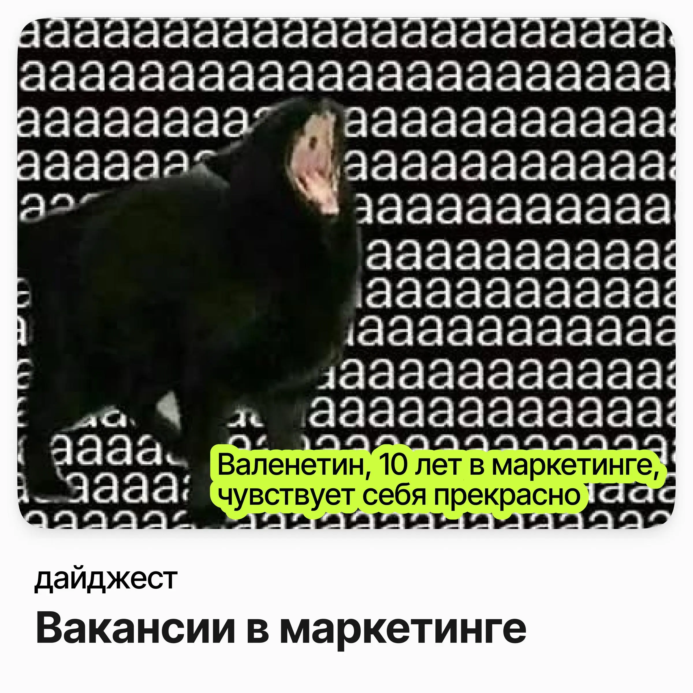 💼💼💼Вакансии в маркетинге
Руководитель группы ORM / MGCom
Зарплата: до 391 000 ₽ /на руки
Подробнее
Специалист по рекламно-сувенирной продукции / РЕСО Гарантия
Зарплата: до 275 000 ₽ /на руки
Подробнее... | Сетка — социальная сеть от hh.ru