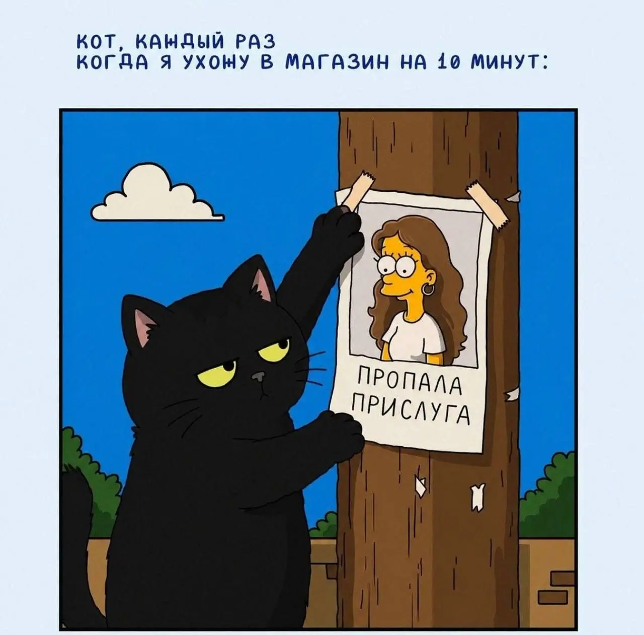 Немного из кошечкового мира | Сетка — социальная сеть от hh.ru