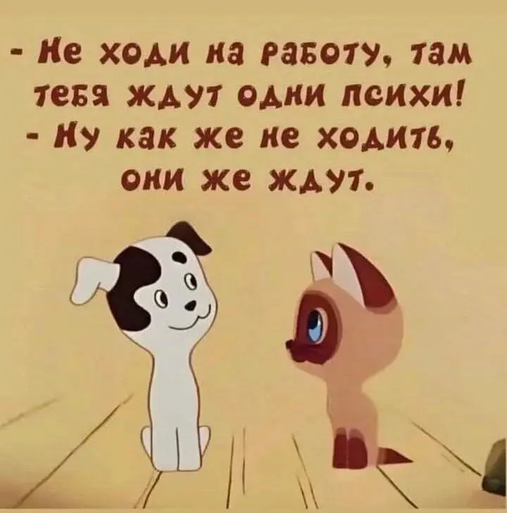 Лайфхак для тех кто хочет набрать количество откликов на hh | Сетка — социальная сеть от hh.ru