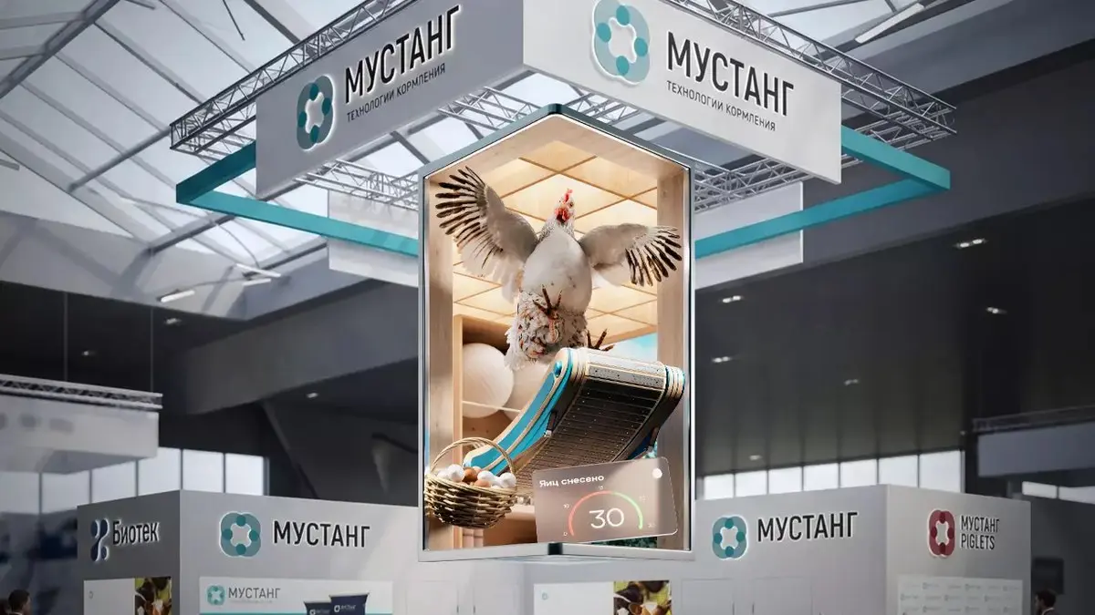Курица на беговой дорожке в Naked Eye: как мы придумали 3D ролик для агро выставки
Для стенда компании «Мустанг Технологии Кормления» на выставке AGRAVIA 2026 команда студии Akademia создала Naked eye... | Сетка — социальная сеть от hh.ru