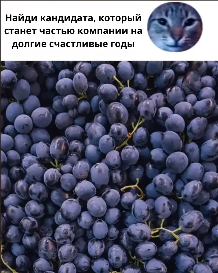 Найм в КА и в In-house | Сетка — социальная сеть от hh.ru