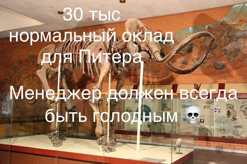 Рынок труда 2026 | Сетка — социальная сеть от hh.ru