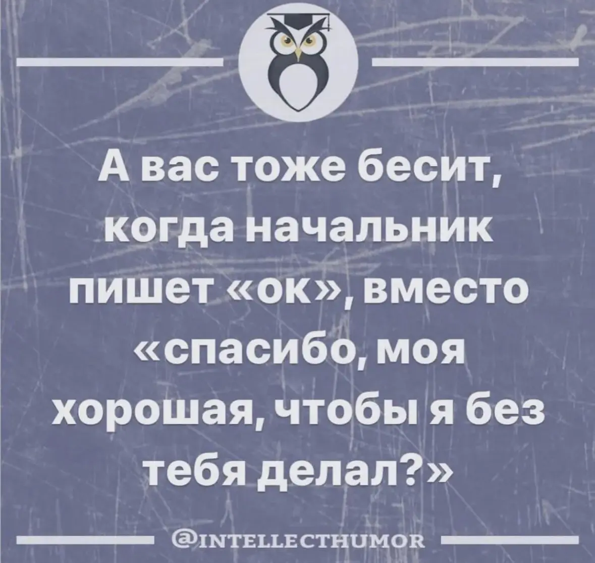 Мифы и легенды, выпуск 8 - про обратную связь | Сетка — социальная сеть от hh.ru