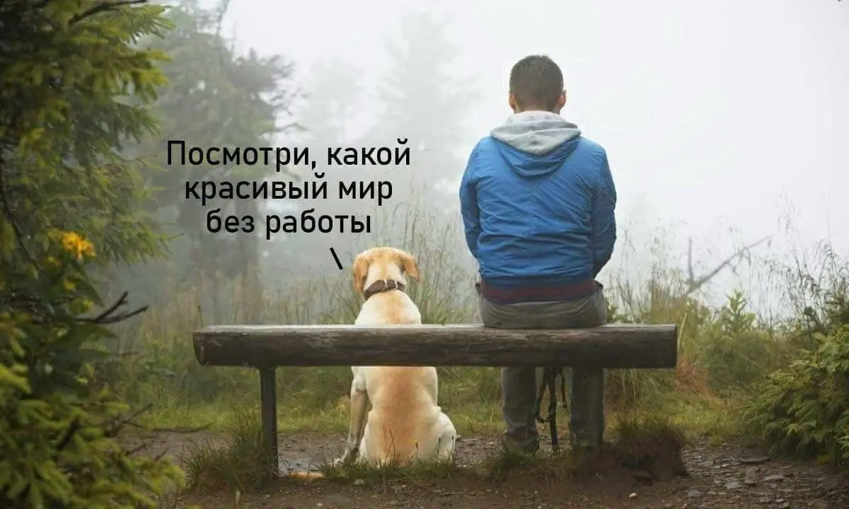 😊 Авторесерчер для контента, или как превратить чужую работу в свои результаты
Коротко: в интернете постоянно кто-то пишет, думает, и кому-то это даже удается. Например, на тему недвижимости | Сетка — социальная сеть от hh.ru