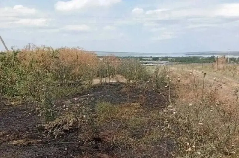 🔥 На Ставрополье продлили особый противопожарный режим
Особый противопожарный режим в крае будет действовать до 30 сентября | Сетка — социальная сеть от hh.ru