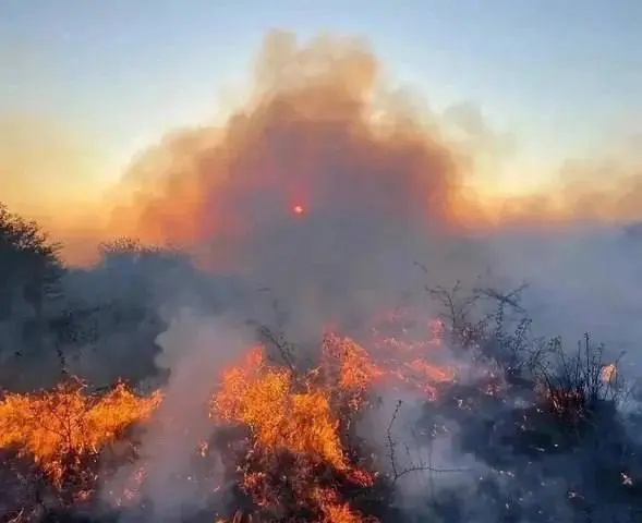 🔥 На Ставрополье продлили особый противопожарный режим
Особый противопожарный режим в крае будет действовать до 30 сентября | Сетка — социальная сеть от hh.ru