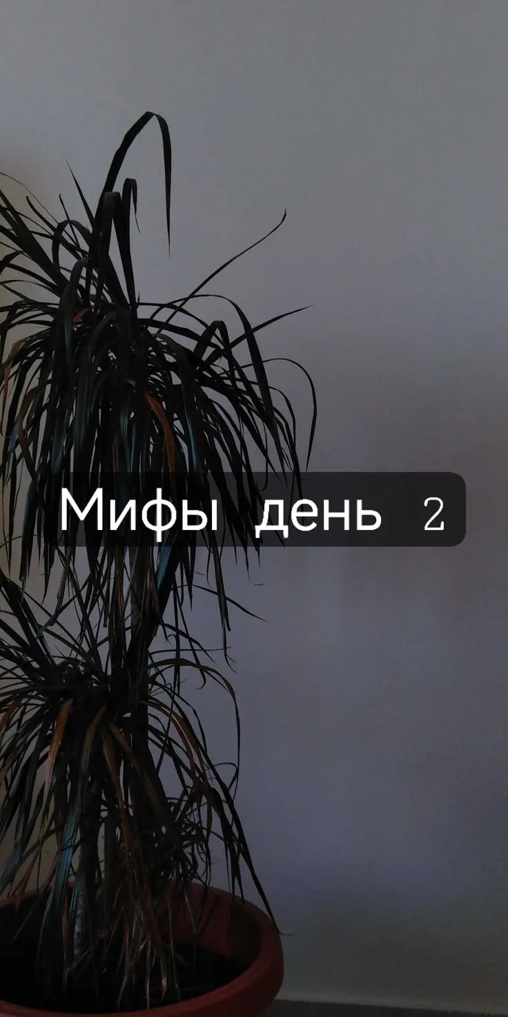 Как и обещала делюсь сегодня ещё парой мифов ,которые часто встречаю 💭
### Миф #3: "Коучинг — это то же самое, что и психотерапия | Сетка — социальная сеть от hh.ru