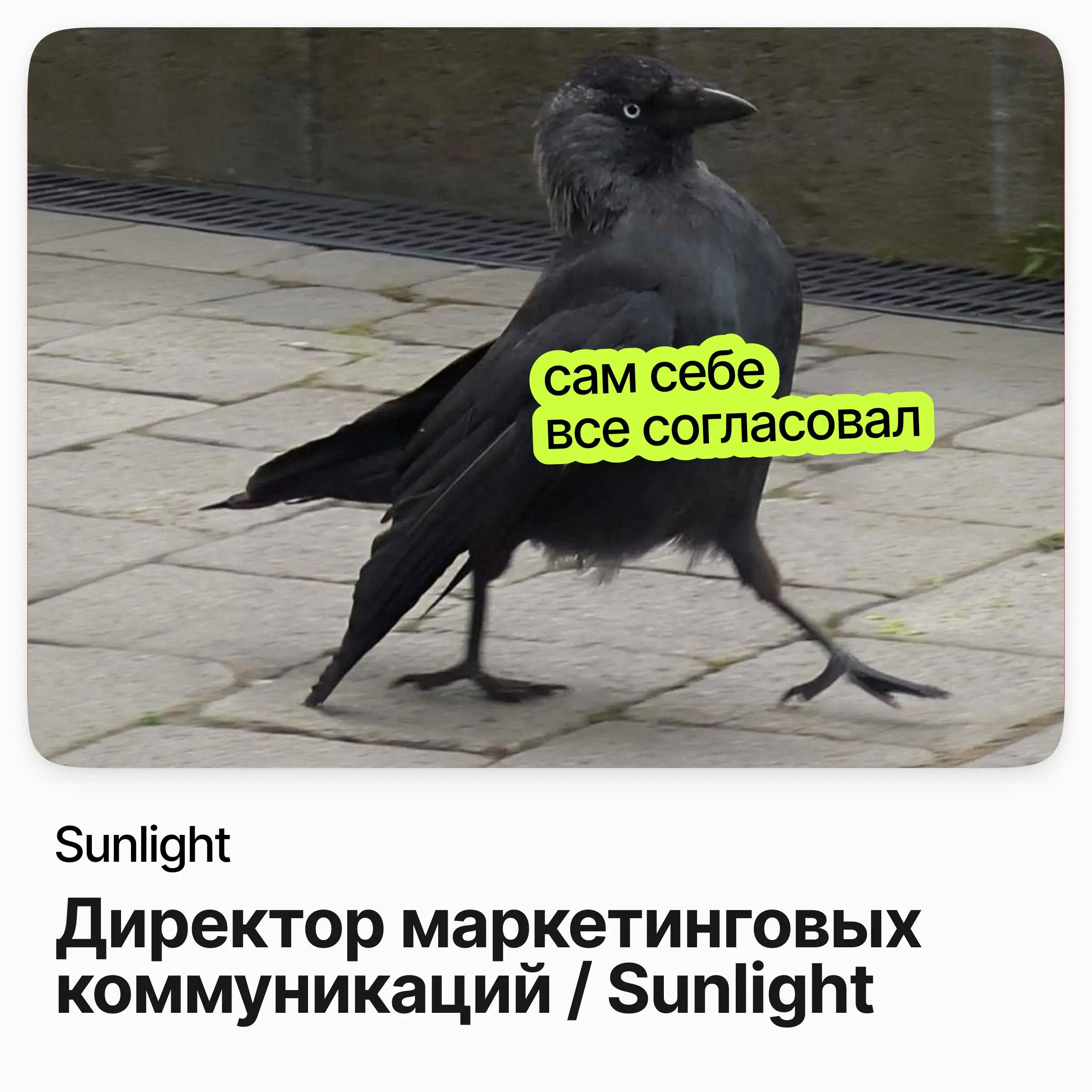 Директор маркетинговых коммуникаций / Sunlight
Sunlight — федеральная ювелирная сеть, один из крупнейших ритейлеров индустрии в России | Сетка — социальная сеть от hh.ru