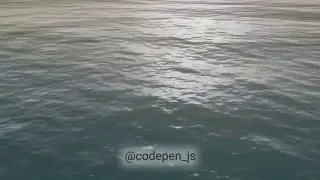 Dolphins at dawn — анимация. Реализована с помощью СSS и JS
https://codepen.io/dilums/pen/bGqpNop | Сетка — социальная сеть от hh.ru