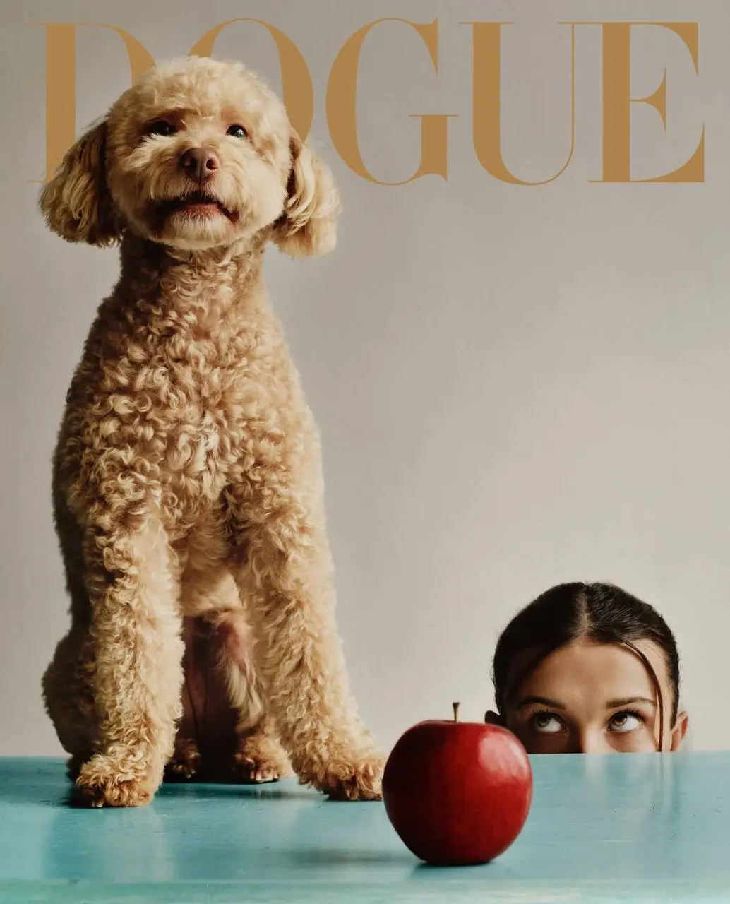 Собачья версия американского Vogue выкатила осенние обложки - и все как на подбор лучше сентябрьской человеческой.
На первой - победитель конкурса редакции, итальянская левретка Спад | Сетка — социальная сеть от hh.ru