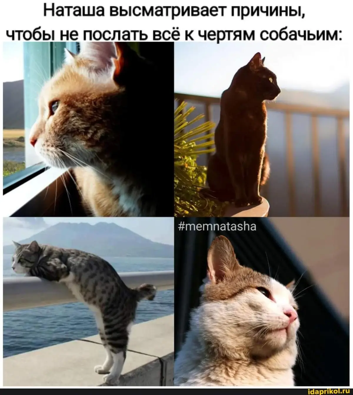 Выгорание и творческий кризис | Сетка — социальная сеть от hh.ru