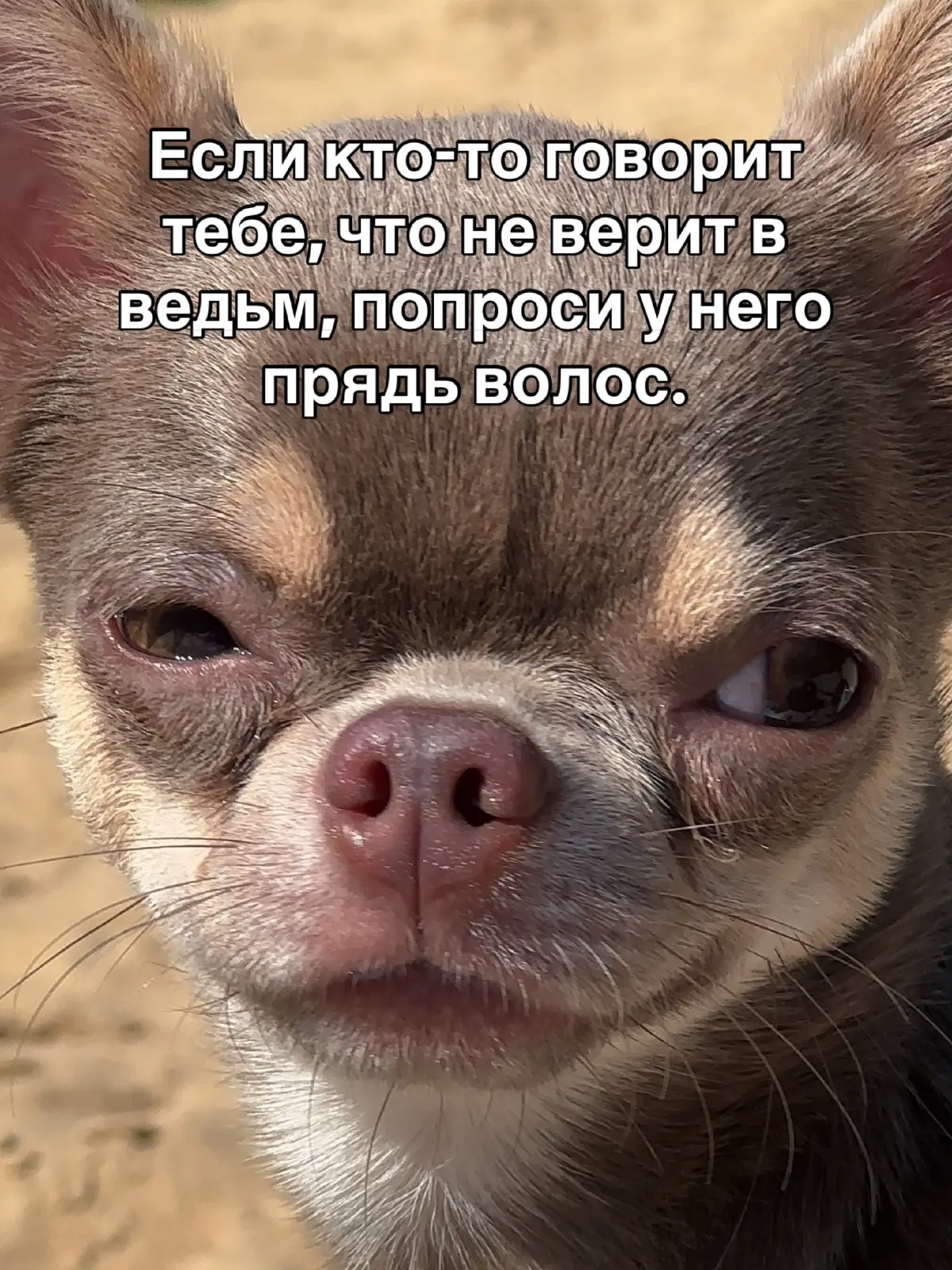 Мотивирующее | Сетка — социальная сеть от hh.ru