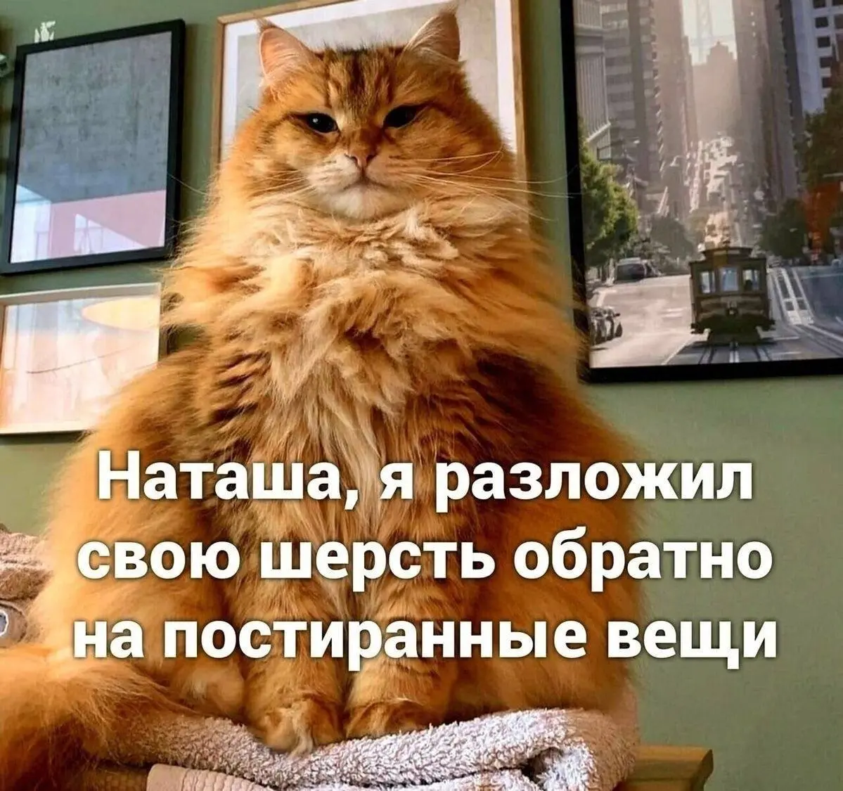 Без этого никак 😂
БЛОГ В ТГ / БЛОГ В MAX
#Юмор #Коты
В этом посте были ссылки, но мы их удалили по правилам Сетки | Сетка — социальная сеть от hh.ru