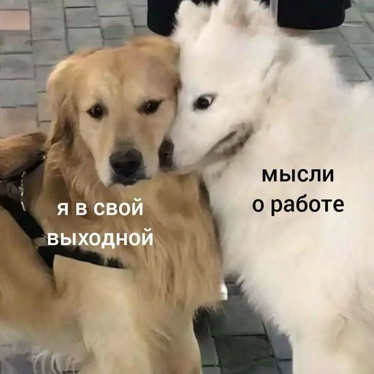 Подборка мемов про рабочие процессы. Сохраняйте, чтобы поделиться с коллегами 😜 | Сетка — социальная сеть от hh.ru