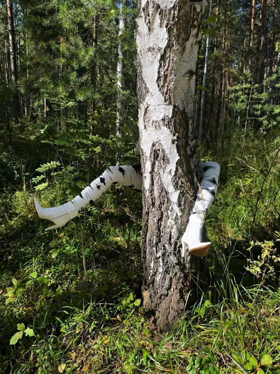 🌱 Считаю, что промо леггинсов beautiful.criminals идеально для вирусных охватов. Но несёт явные риски для грибников, которые в погоне за подберёзовиками могут пережить сильнейший стресс | Сетка — социальная сеть от hh.ru