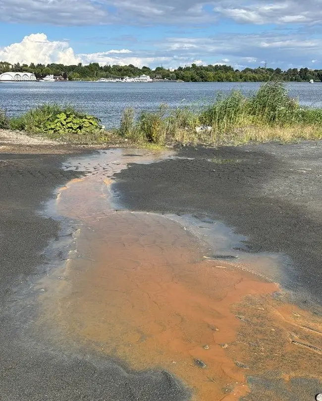 Клязьминское водохранилище — тревога для экологии региона | Сетка — социальная сеть от hh.ru