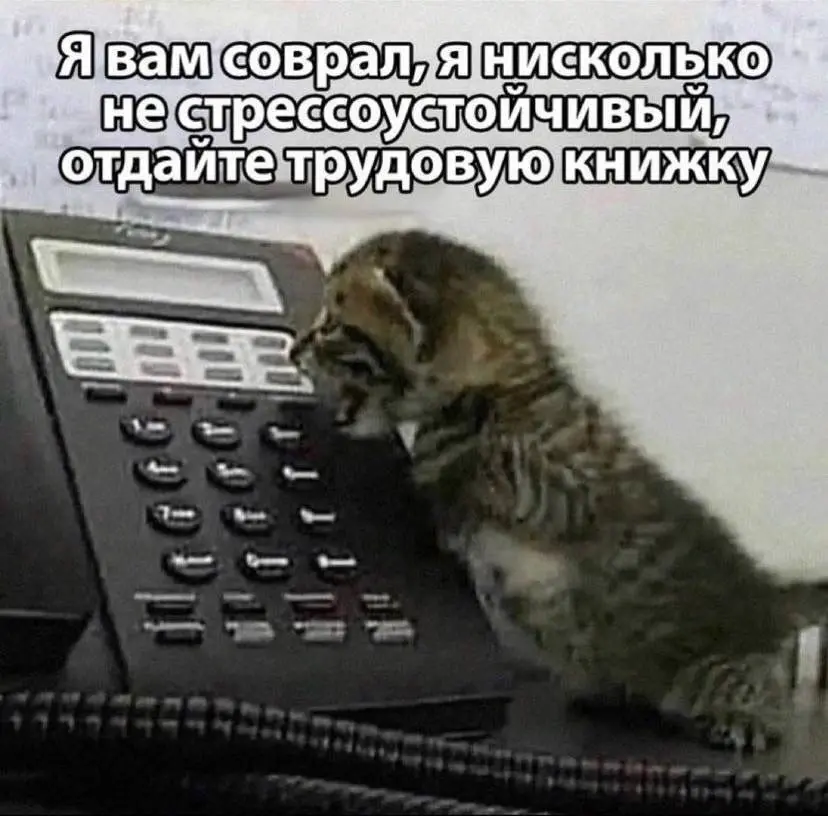 HR-тишина и кадровый голод: чья вина на самом деле? | Сетка — социальная сеть от hh.ru