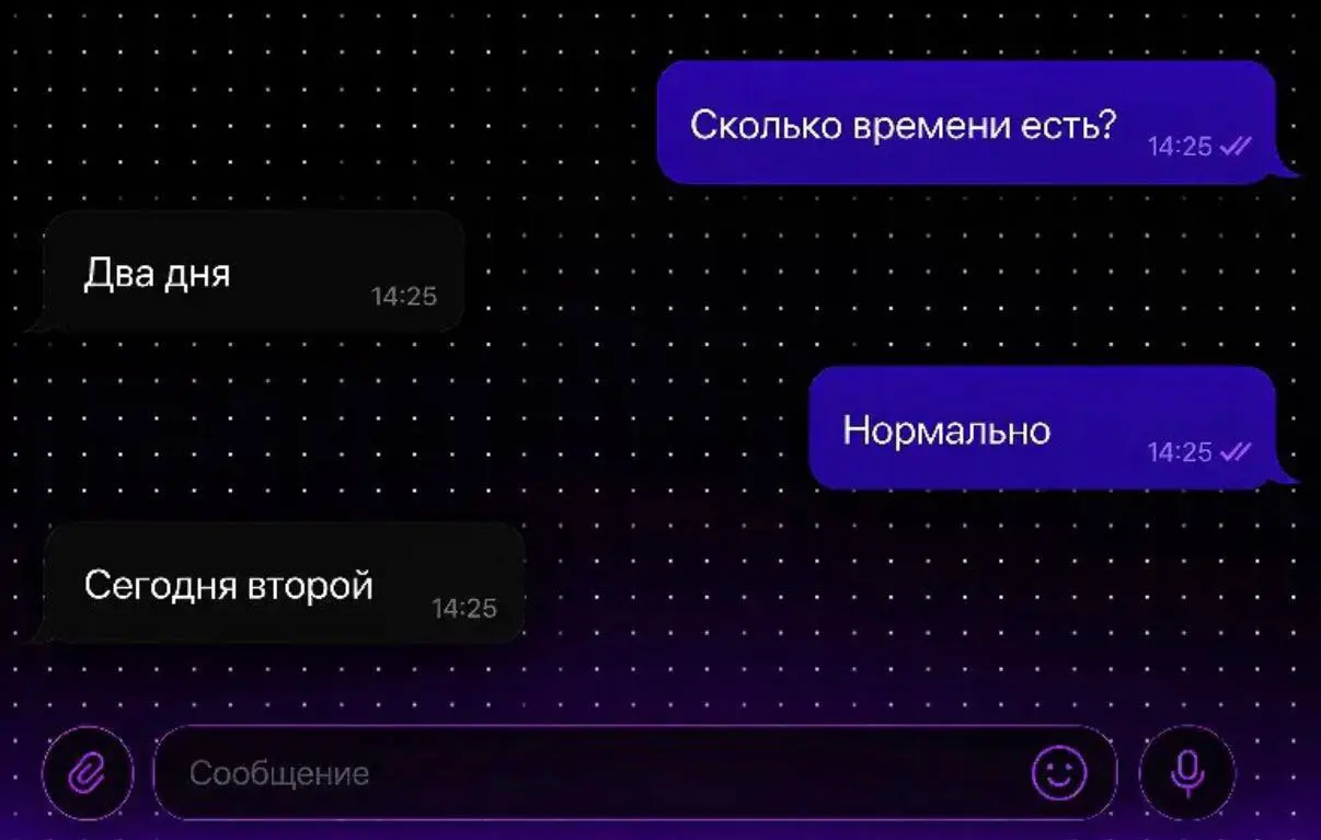 #wtf | Сетка — социальная сеть от hh.ru