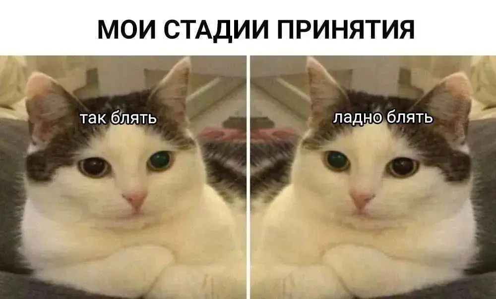 Я, сайты поиска работы, отклики и принятие ситуации 🙄 | Сетка — социальная сеть от hh.ru
