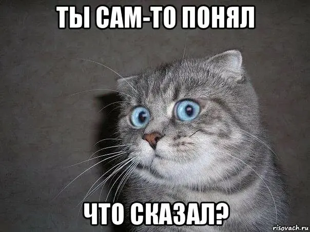 Токсичный миф #2: «Хороших спецов переманивают» | Сетка — социальная сеть от hh.ru