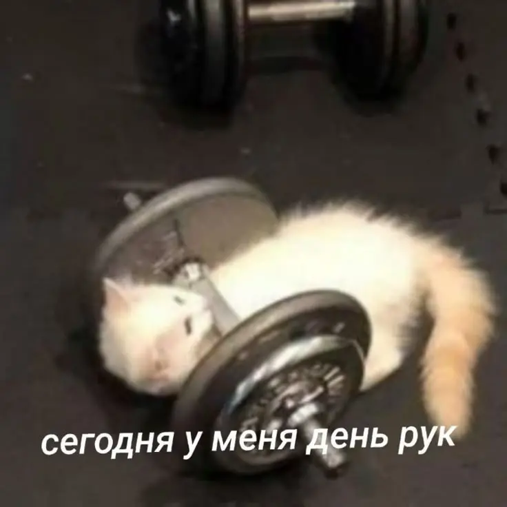 В форме не только тело | Сетка — социальная сеть от hh.ru