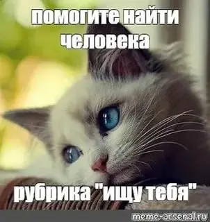 🚀 Защитил проект, выбил бюджет — собираю команду
Шуточки закончились, начинаем строить боевого мультиагента. Мне нужны люди, которые готовы создавать решения первыми на рынке, а не догонять поезд | Сетка — социальная сеть от hh.ru