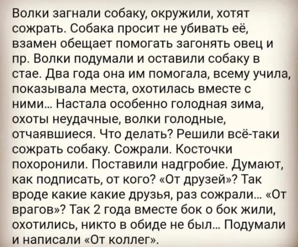 Когда в резюме пишут „командный игрок... | Сетка — социальная сеть от hh.ru