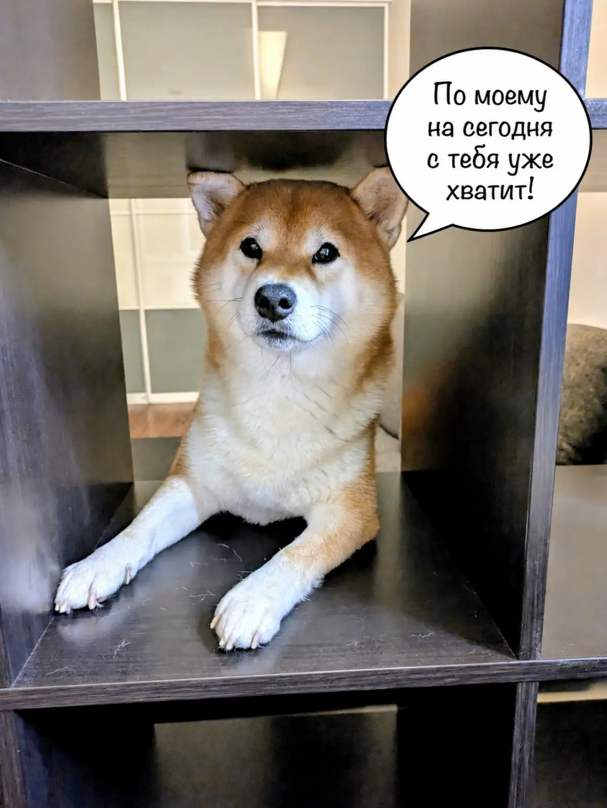 Из продаж в IT. И друг, который всё это переживал рядом | Сетка — социальная сеть от hh.ru