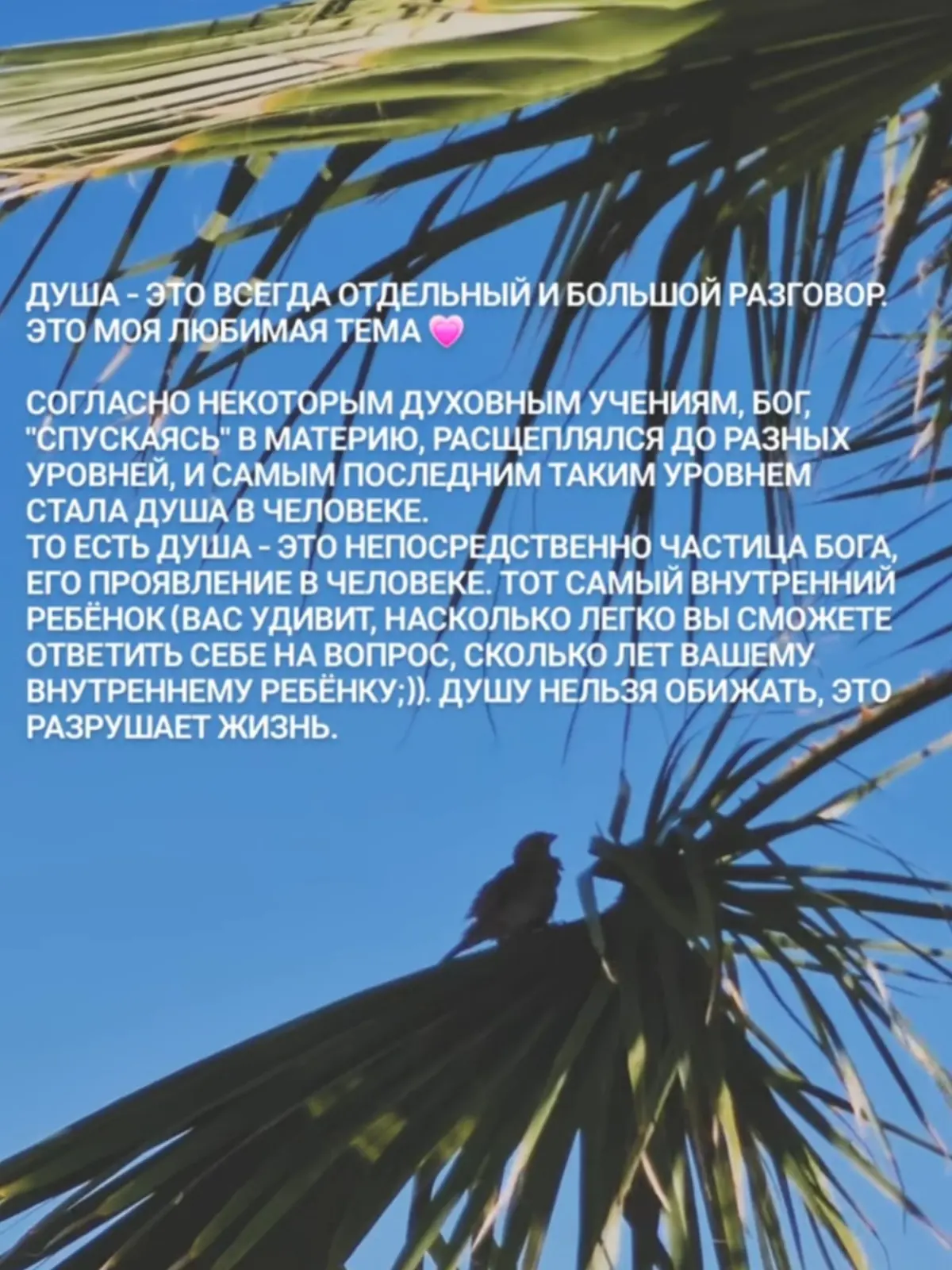 Наблюдать себя 💙 | Сетка — социальная сеть от hh.ru
