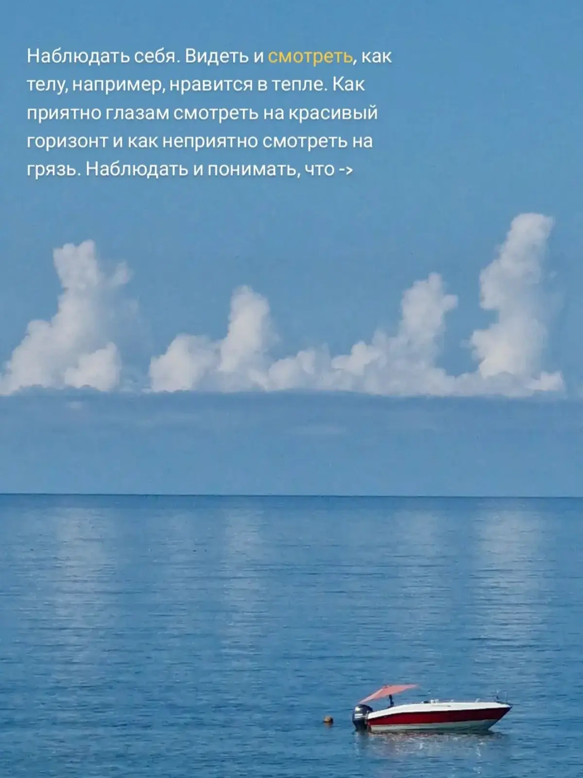 Наблюдать себя 💙 | Сетка — социальная сеть от hh.ru