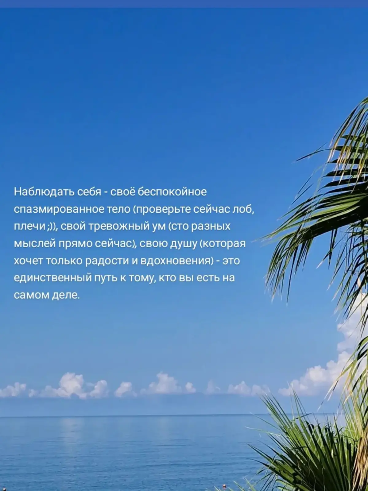 Наблюдать себя 💙 | Сетка — социальная сеть от hh.ru