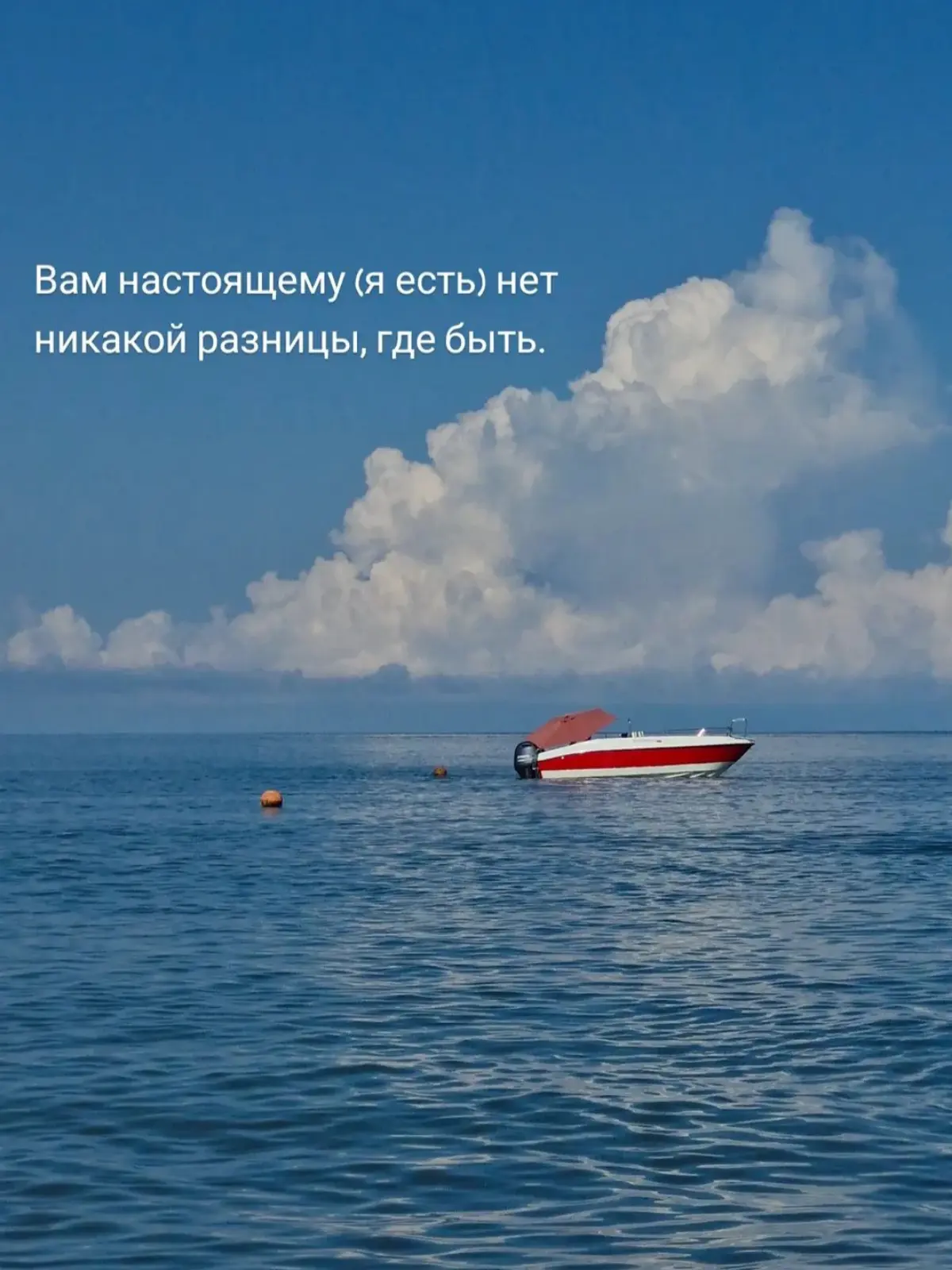 Наблюдать себя 💙 | Сетка — социальная сеть от hh.ru