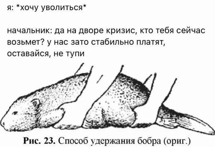 #юмор | Сетка — социальная сеть от hh.ru