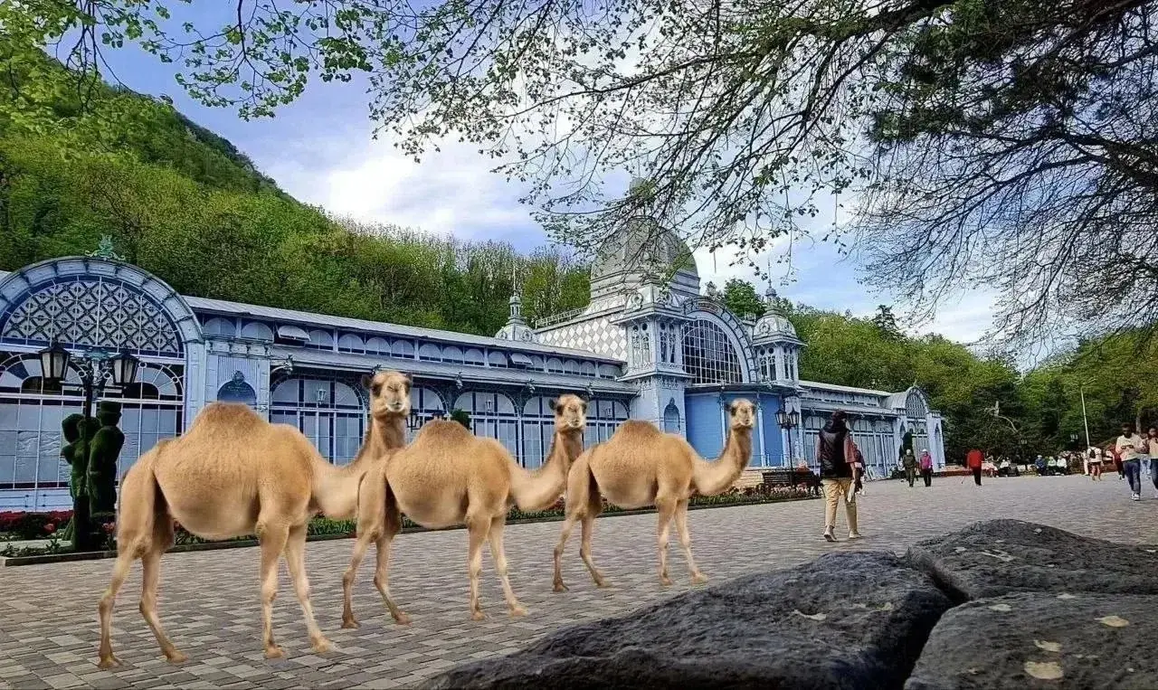 🐫 Караван верблюдов устроят в Железноводске на День города
28 и 29 августа в Курортном парке пройдёт историческая реконструкция прибытия торгового обоза из Средней Азии | Сетка — социальная сеть от hh.ru