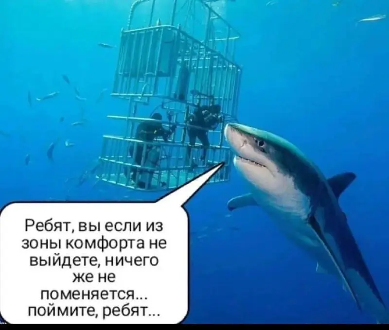 Терпеть не могу призывы "выйти из зоны комфорта"😤 | Сетка — социальная сеть от hh.ru