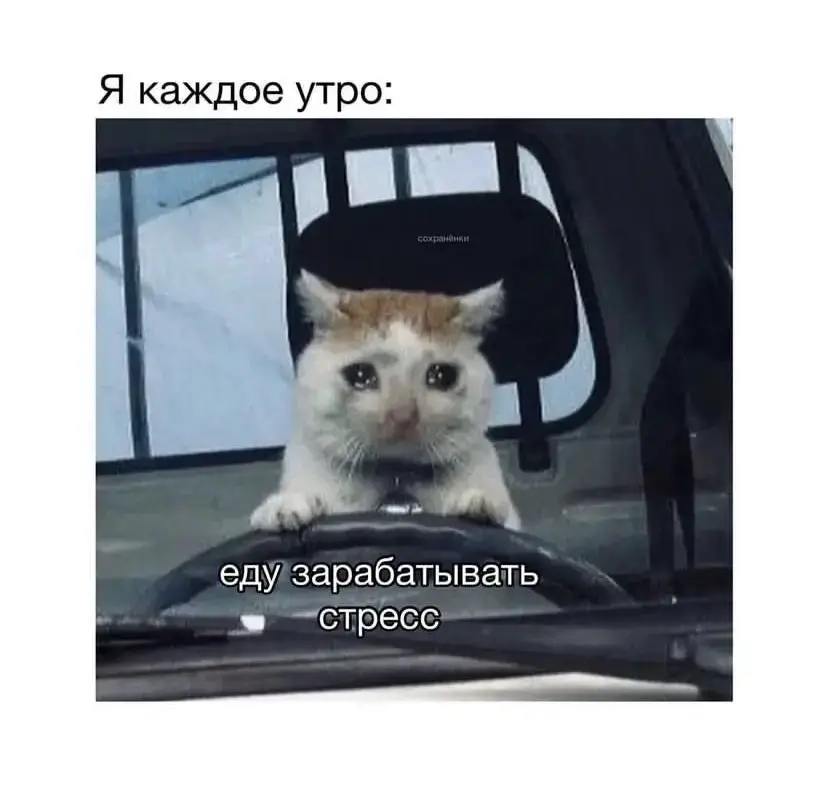 Как я узнала, что меня газлайтят, а не просто критикуют | Сетка — социальная сеть от hh.ru