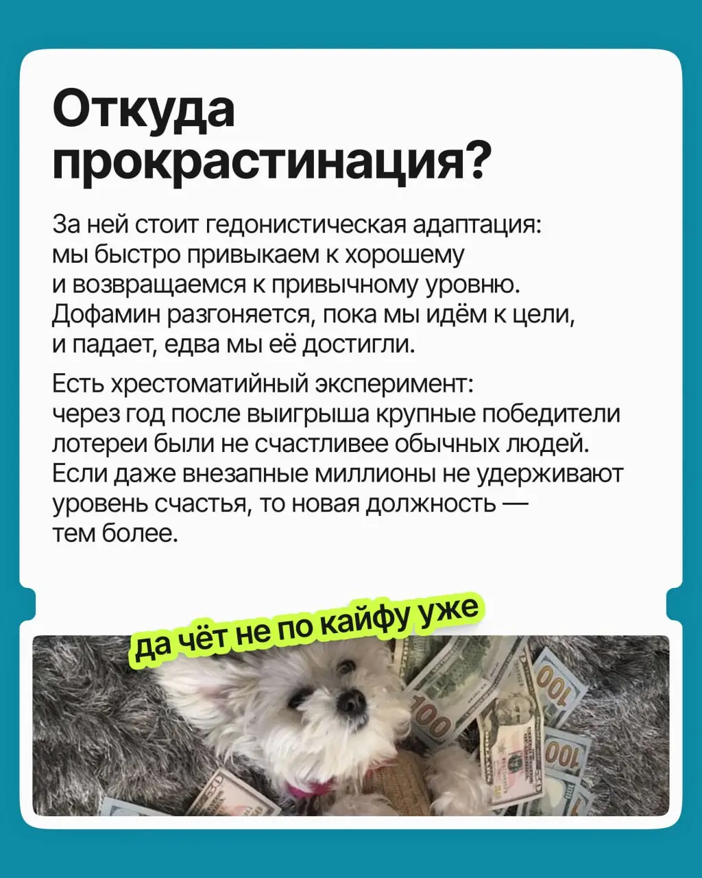 «Закрою проект и выдохну. Получу повышение и заживу. Доберу до нужной суммы, и вот тогда…» Замечали, что «тогда» всё время и не думает наступать | Сетка — социальная сеть от hh.ru