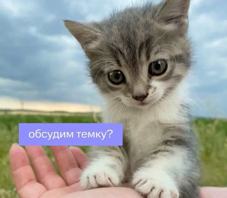 Если бы вы могли выбрать только
2 пункта, что бы это было? | Сетка — социальная сеть от hh.ru