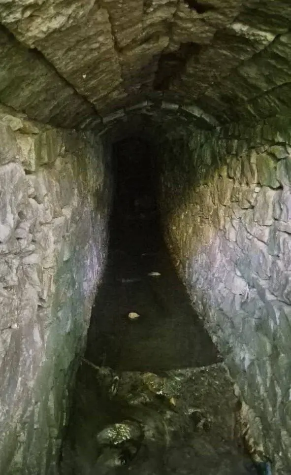 ❗️ В Железноводске во время ремонта улицы Ленина нашли подземный тоннель
Старинный ход обнаружили возле остановки «Чапаева» | Сетка — социальная сеть от hh.ru