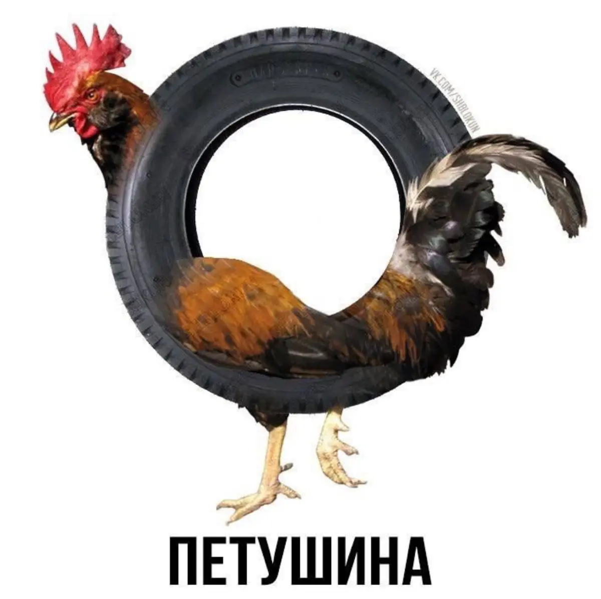 шедеврально 😂 | Сетка — социальная сеть от hh.ru